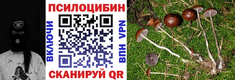 купить  цена  Аксай  ОМГ ОМГ сайт  Галлюциногенные грибы Magic Shrooms 